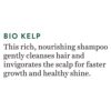 Biotique Bio Bhringraj Therapeutic Hair Oil for Falling Hair Intensive Hair Regrowth Treatment, 120ml - Image 2