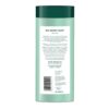 Biotique Bio Berry Shake Body Wash For Disney Kids, 180 ml - Image 2