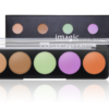 IMAGIC Professional 5 Shade Concealer Palette No.2 ,5.2gm